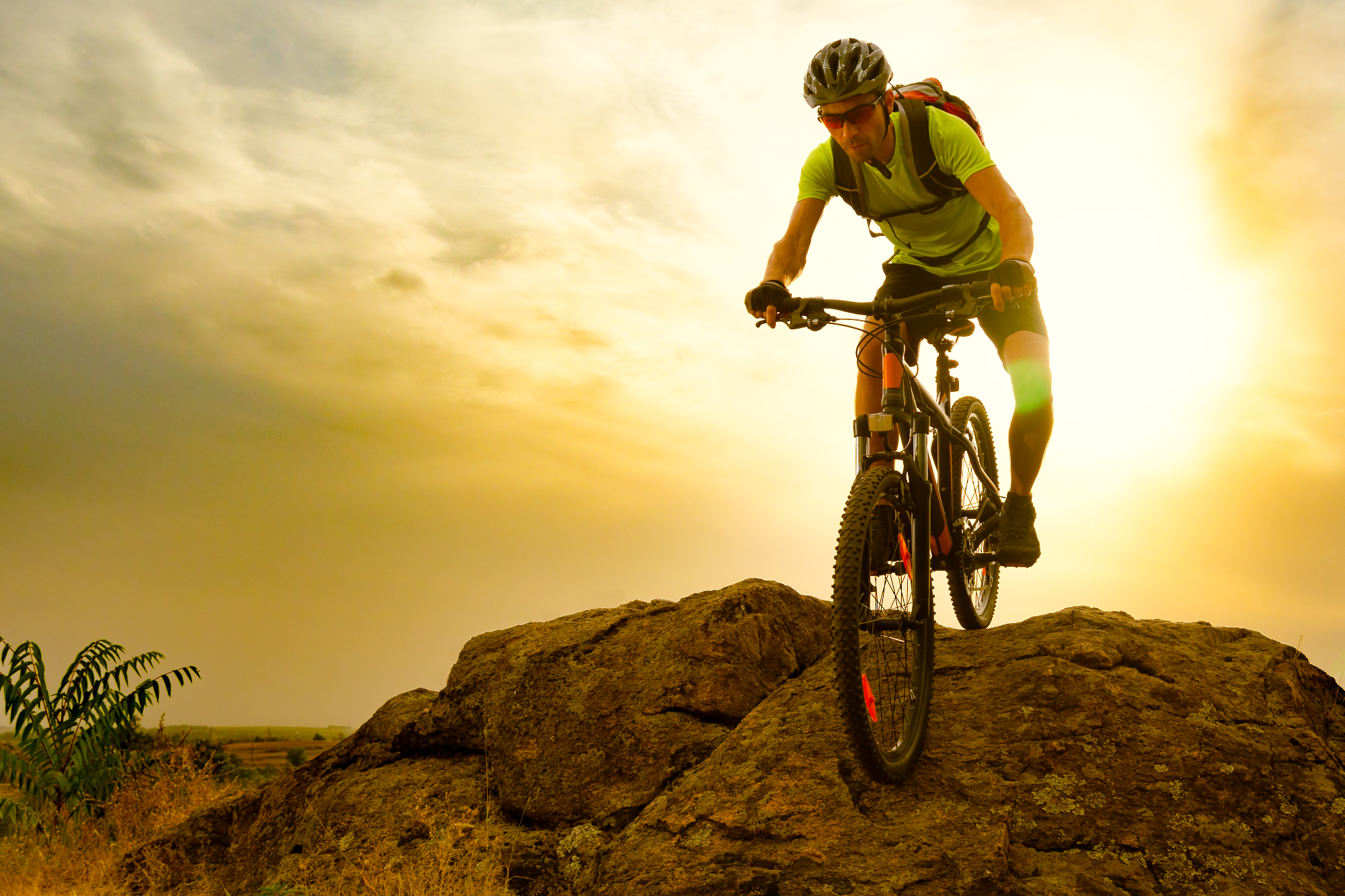 Gorska kolesa: Več kot le adrenalinski izziv - Vodnik za pravo izbiro in vzdrževanje MTB kolesa
