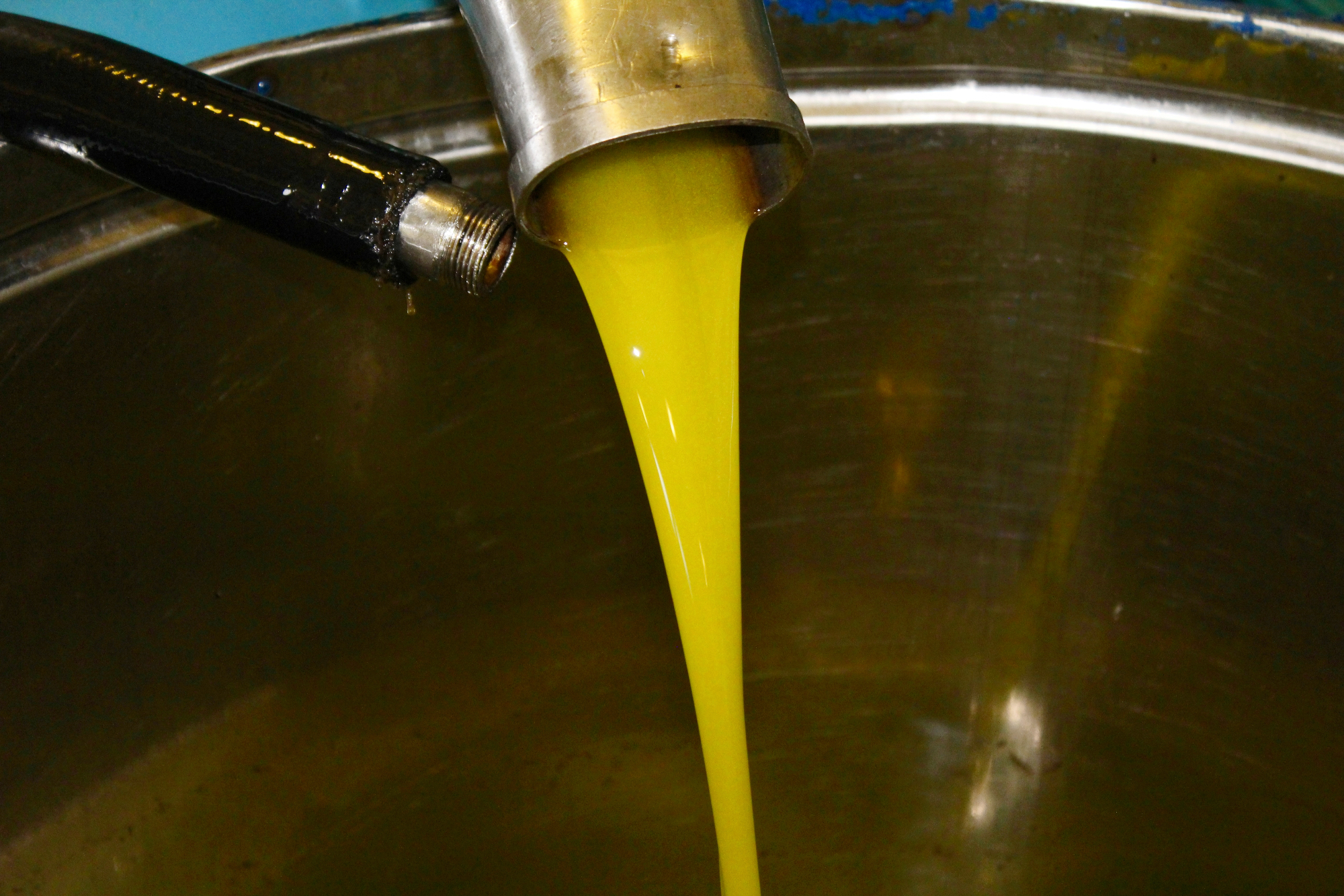 Olivno olje nas je resnično presenetilo s svojim okusom